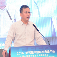 崔东树<br/> 全国乘用车市场信息联席会秘书长