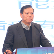 魏银仓<br/> 珠海银隆新能源有限公司董事长