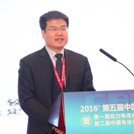 佘沛亮<br/> 双登集团总工程师