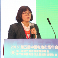 张娜<br/> 力神动力电池系统有限公司副总经理